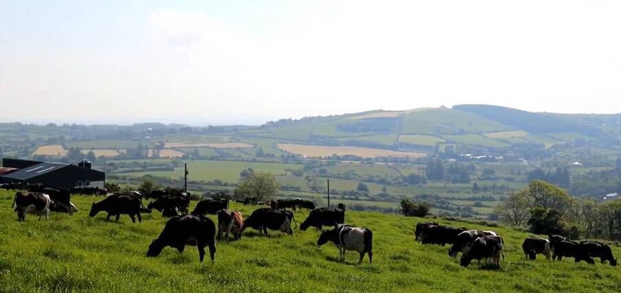 Loughlin Ryan's farm in Upperchurch, Co Tipperary. Loughlin Ryan's farm in Upperchurch, Co Tipperary.