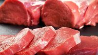 Fresh and raw meat. Sirloin medallions steaks