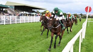 <p>Meriden and Chris Hayes win for owners Patrick O'Brien & Paul Shanahan and trainer Denis Hogan with groom Philip Heenan at Listowel. Pic: Healy Racing</p> <p>Meriden and Chris Hayes win for owners Patrick O'Brien & Paul Shanahan and trainer Denis Hogan with groom Philip Heenan at Listowel. Pic: Healy Racing</p>