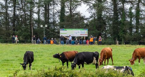 Shinagh Dairy Farm: €1M profit from Teagasc beef conversion model