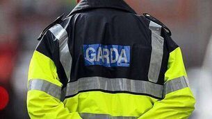 <p>The operation, which began on Sunday, is being coordinated by local gardaí and the Garda Water Unit.</p>