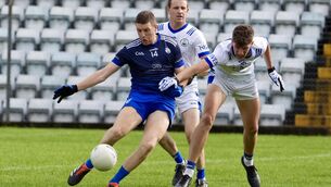 <p>Knocknagree’s Fintan Ó Conchuir shoots for a point against Castlehaven in Pairc Uí Rinn. Picture by Noel Sweeney</p> <p>Knocknagree’s Fintan Ó Conchuir shoots for a point against Castlehaven in Pairc Uí Rinn. Picture by Noel Sweeney</p>