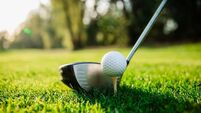Golf club and golf ball on a green lawn in a beautiful golf course - Stock Photo