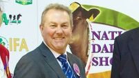 Irish Examiner National Dairy Show 2014, Green Glens Arena, Millstreet, Saturday, 18th October.
