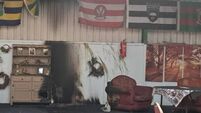 Newly opened Waterford garden centre and café destroyed in suspected arson attack