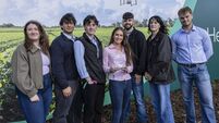 MTU students win Young Innovators award for mastitis detection system