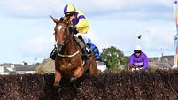 Ballygunner Castle gives Willie Mullins back-to-back Kerry Nationals 