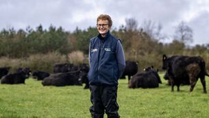 <p>Kay O’Sullivan runs Glynn Organic Farm, a 63-hectare cattle and sheep enterprise in north Cork that has been certified organic for more than 16 years. Picture: Chani Anderson</p> <p>Kay O’Sullivan runs Glynn Organic Farm, a 63-hectare cattle and sheep enterprise in north Cork that has been certified organic for more than 16 years. Picture: Chani Anderson</p>
