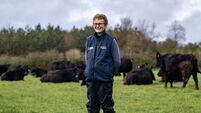 'A great day for female farmers': Cork organic beef farmer named best in Europe