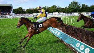 <p> AT A STRETCH: Ballygunner Castle & Danny Mullins (yellow) win the Guinness Kerry National. Pic: Healy Racing</p> <p> AT A STRETCH: Ballygunner Castle & Danny Mullins (yellow) win the Guinness Kerry National. Pic: Healy Racing</p>