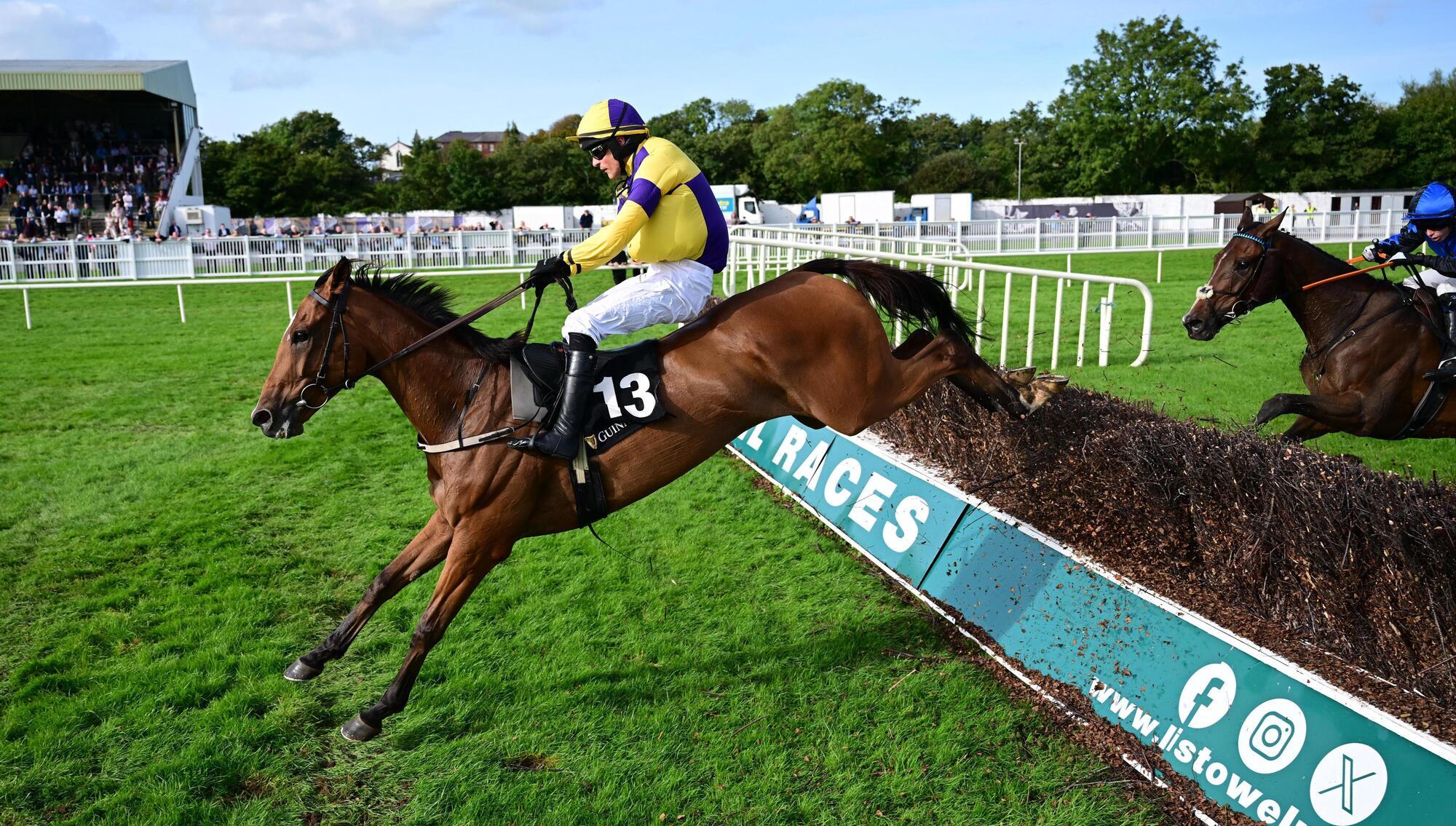  AT A STRETCH: Ballygunner Castle & Danny Mullins (yellow) win the Guinness Kerry National. Pic: Healy Racing