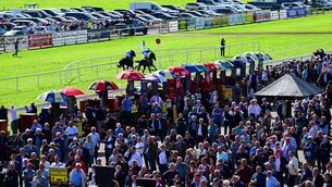 <p>PHOTO FINISH: Golden Handshake pips Beir Bua at the last second to claim the Novice Hurdle. Pic: Healy Racing</p>
