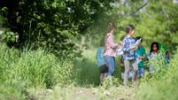 Outdoor School Group Of Diverse Children Studying Together In Green Field
