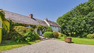 <p>Geoff Power's vibrant Waterford home in Woodstown has hit the market. Pictures: Palmer Auctioneers</p>