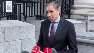<p>Tanaiste Simon Harris speaking to members of the media before a Cabinet meeting at Government Buildings. Picture: Cillian Sherlock/PA Wire</p> <p>Tanaiste Simon Harris speaking to members of the media before a Cabinet meeting at Government Buildings. Picture: Cillian Sherlock/PA Wire</p>