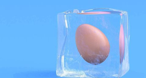 Frozen egg in ice cube. 3d illustration