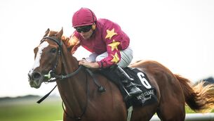 <p>No final decision has been made about where Thundering On goes next, said O'Brien. Pic: Tom Maher/Inpho</p> <p>No final decision has been made about where Thundering On goes next, said O'Brien. Pic: Tom Maher/Inpho</p>