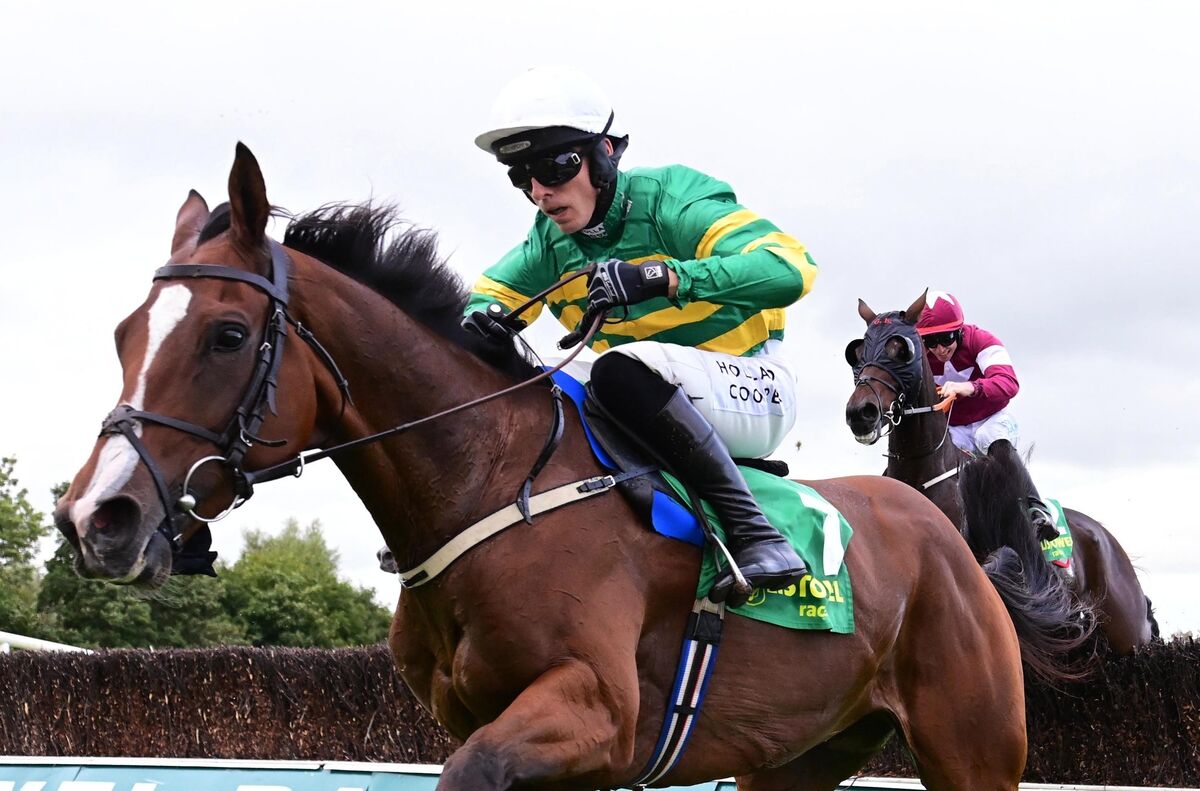 Love Me Tender and Harry Cobden win the Thorn Plant Hire Beginners Steeplechase. Picture: Healy Racing. Love Me Tender and Harry Cobden win the Thorn Plant Hire Beginners Steeplechase. Picture: Healy Racing.