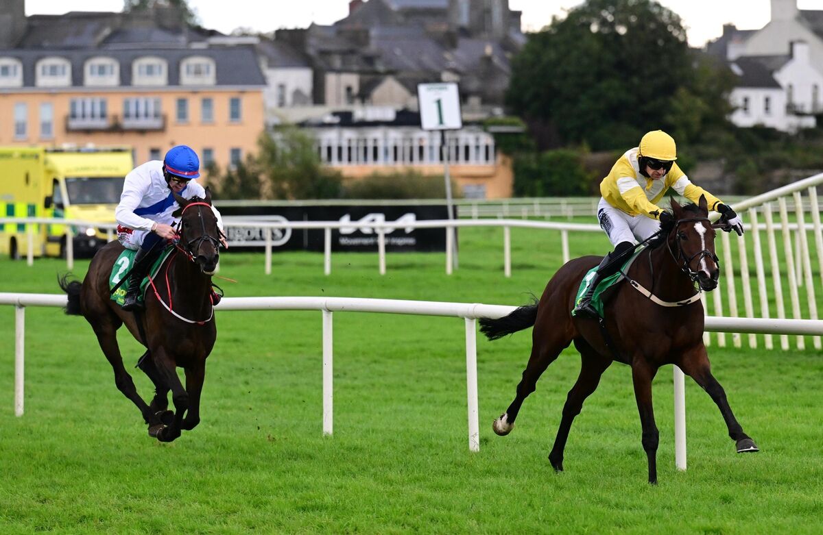 Berkstar and Patrick Mullins win the Kevin McManus Bookmaker Flat Race. Picture: Healy Racing. Berkstar and Patrick Mullins win the Kevin McManus Bookmaker Flat Race. Picture: Healy Racing.