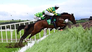 <p>Love Me Tender and Harry Cobden win the Thorn Plant Hire Beginners Steeplechase at Listowel on Thursday. Picture: Healy Racing.</p>
