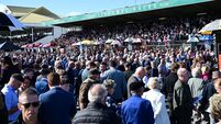 Justatan could prove tough to beat at Listowel