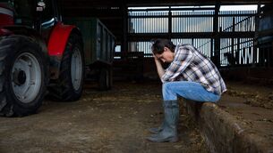 <p>Various aspects converge to create challenges for the mental health of farmers the world over: the loneliness of the work, the intensity of the gruelling daily tasks, the uncertainty of income due to weather and price fluctuations. File photo</p> <p>Various aspects converge to create challenges for the mental health of farmers the world over: the loneliness of the work, the intensity of the gruelling daily tasks, the uncertainty of income due to weather and price fluctuations. File photo</p>