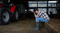 iStock-1496083431.jpg Crisis on the Farm