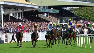 <p>Helvic Dream and Donagh Meyler (pink cap) won the Ballymore Handicap Hurdle at Listowel. Pic: Healy Racing</p> <p>Helvic Dream and Donagh Meyler (pink cap) won the Ballymore Handicap Hurdle at Listowel. Pic: Healy Racing</p>