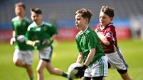 GAAgaeilge Go Games