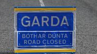 24269012 Garda stock