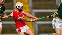 Late Lorcan Lyons point sends Monaleen into Limerick SHC semi-finals