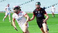 Late Lorcan Lyons point sends Monaleen into Limerick SHC semi-finals