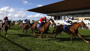 <p>Chally Chute ridden by Sam Coen (right) on their way to winning the Friends Of The Curragh Irish Cesarewitch at the Curragh. Picture: Damien Eagers/PA</p> <p>Chally Chute ridden by Sam Coen (right) on their way to winning the Friends Of The Curragh Irish Cesarewitch at the Curragh. Picture: Damien Eagers/PA</p>
