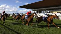 Afternoon Racing - Curragh Racecourse - Sunday September 27th