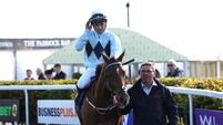 Afternoon Racing - Curragh Racecourse - Sunday September 27th