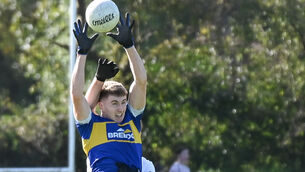 <p>HIGH ACHIEVER: Kilshannig's Tom Cunningham goes high to win possession against Kanturk during their Senior AFC quarter-final clash at Kilbrin. Pic: David Keane.</p>
