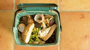 <p> Of the 708,000 tonnes of food waste generated in Ireland, 219,000 tonnes are generated by households. </p> <p> Of the 708,000 tonnes of food waste generated in Ireland, 219,000 tonnes are generated by households. </p>