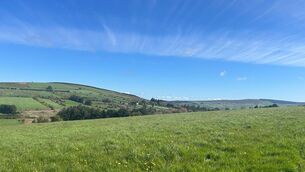 <p>Some of the grassland of the 11.7-acre farm at Kilmacrane, Banteer, Co. Cork.</p>