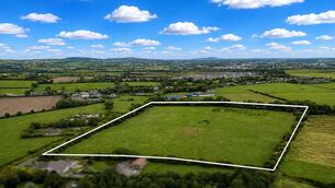 <p>Marked aerial photo of the 15-acre farm for auction at Newtown, Kildare.</p>