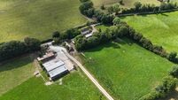100-acre Limerick farm withdrawn from auction and sold privately