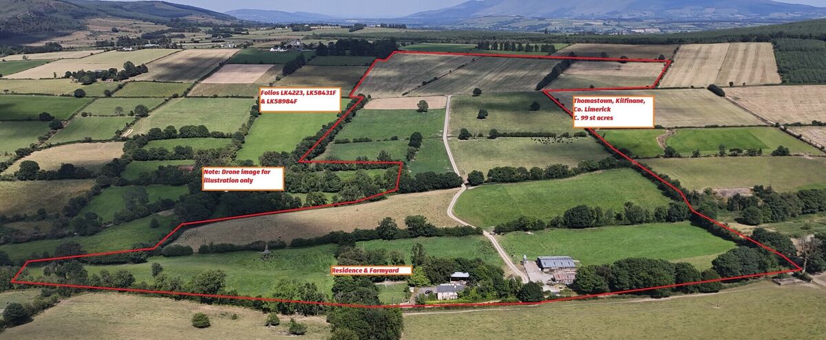 Outline photo of the 100-acre farm at Thomastown, Kilfinane, Co. Limerick, sold after auction