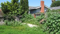 iStock-92179462.jpg Backyard in need of gardening