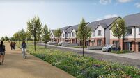 Permission granted for 300 Ballincollig homes despite objection