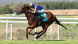 <p>SPARKLING DISPLAY: Diamond Necklace en route to victory in the Nassau Stakes at Goodwood in July.  	Picture: Healy Racing</p>