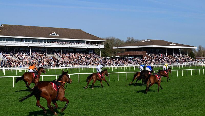 Packed stands on Student Day at Cork Racecourse (Photo HEALY RACING) Packed stands on Student Day at Cork Racecourse (Photo HEALY RACING)