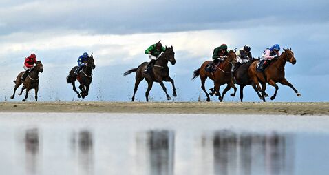 Laytown Races 2026