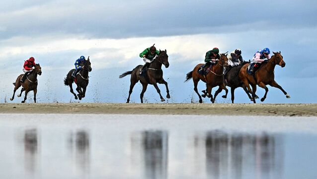 <p>Runners and riders in the Pride Of Place Maiden during the Laytown Races at Laytown in Meath this month, September 2026. Pic: David Fitzgerald/Sportsfile</p>