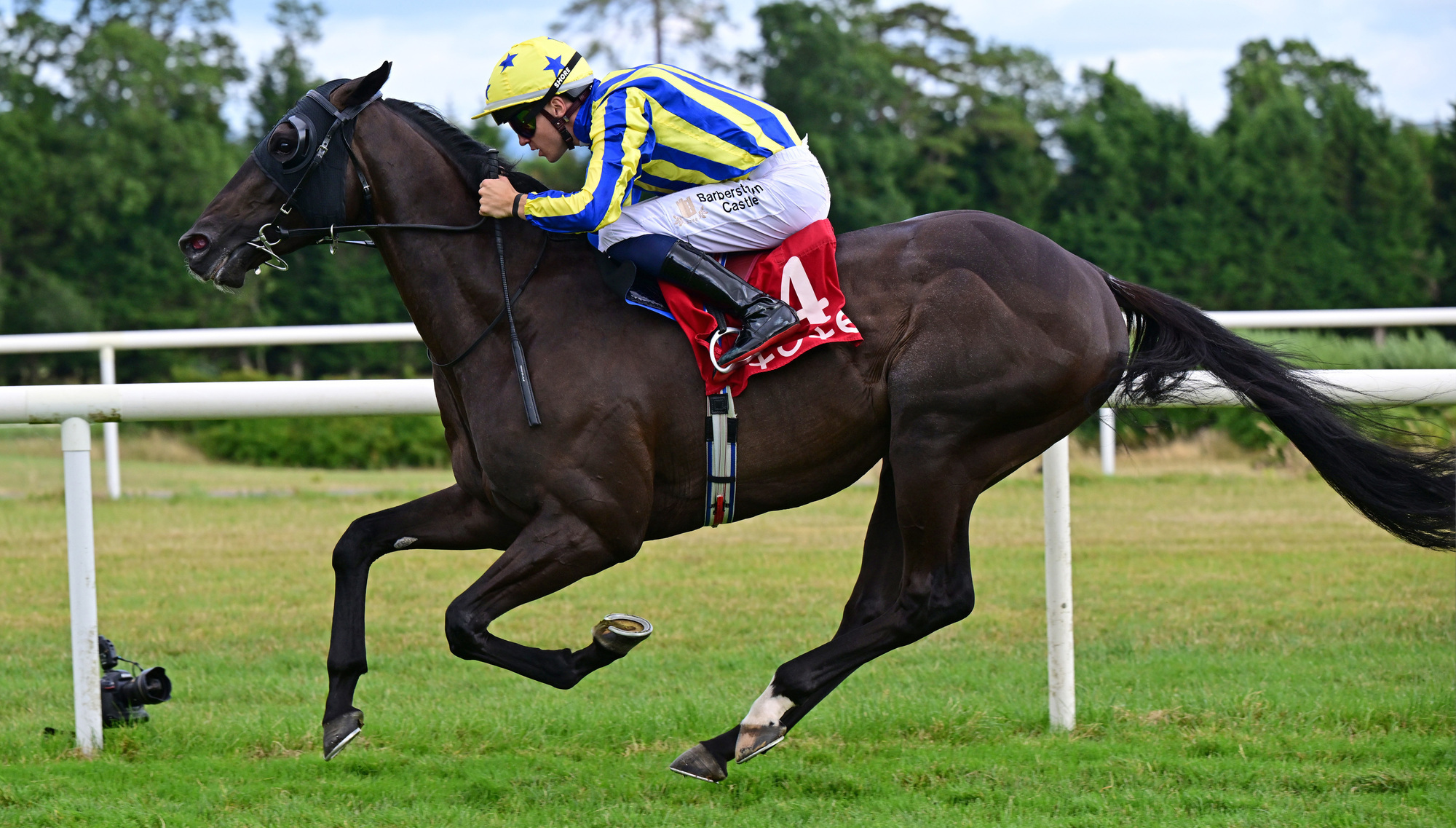 Summer Is Tomorrow has run to a high level on each of his last four starts. Pic: Healy Racing Photo