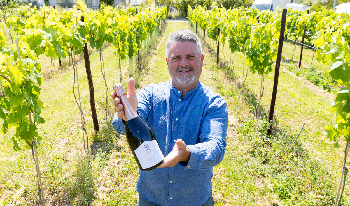 David Llewellyn at Llewellyn's Orchard in Lusk, Co. Dublin. Picture: Gareth Chaney David Llewellyn at Llewellyn's Orchard in Lusk, Co. Dublin. Picture: Gareth Chaney