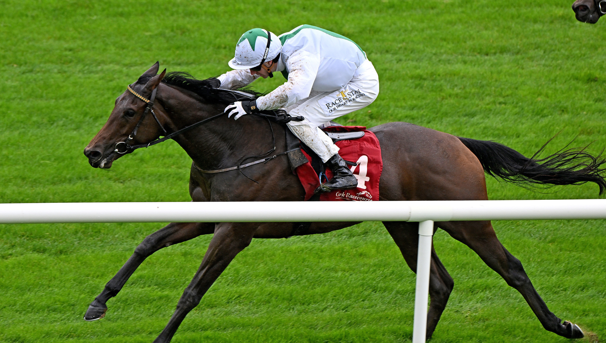 Pink Venom and Ben Coen win for owner Noel Hartley and trainer Johnny Murtagh. Pic: Healy Racing